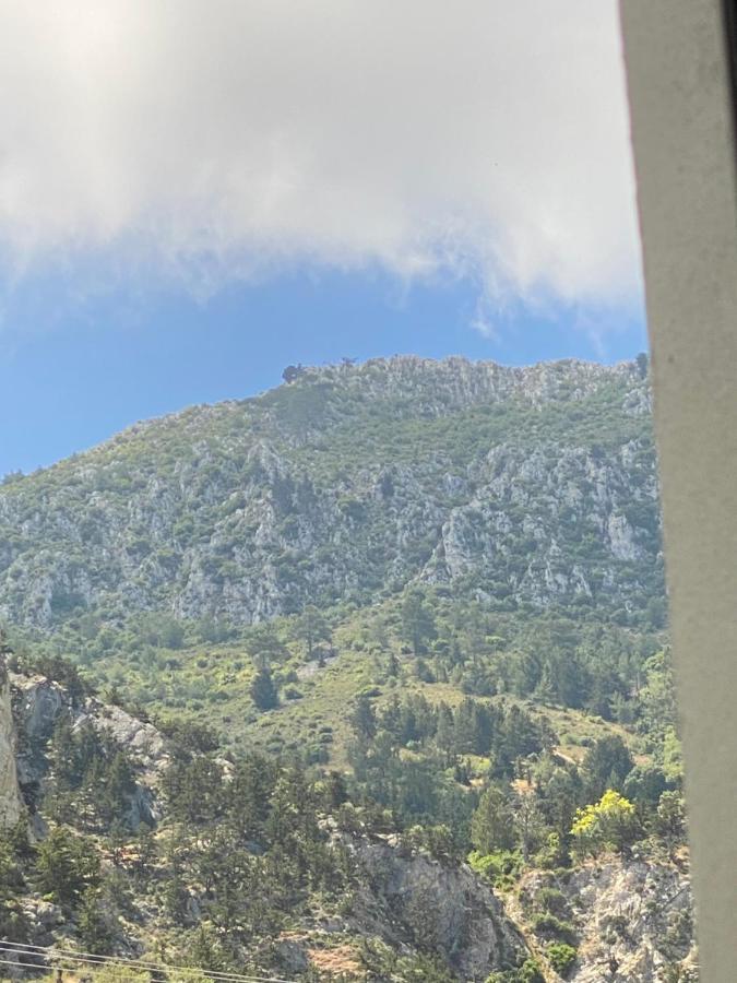 Chardonnay Guest Studio Rooms With Great View For Nature Lovers Kyrenia  Luaran gambar